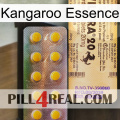 Kangaroo Essence new06